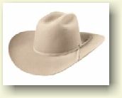 Rodeo JR